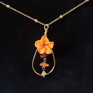 Meet your Posher, Daisy